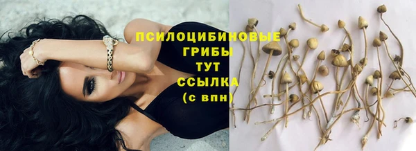 скорость Козельск