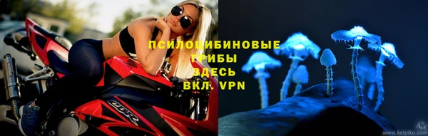 скорость Козельск