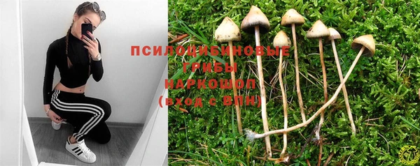 мяу мяу мука Костерёво