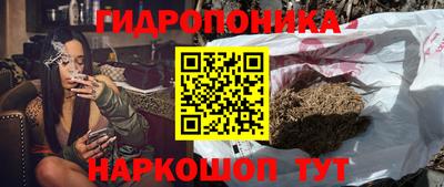 сатива Волжский