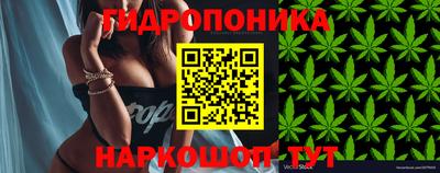 сатива Волжский