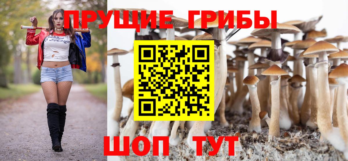Волгодонск  Галлюциногенные грибы Magic Shrooms  Вход с VPN 