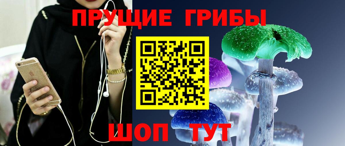 Псилоцибиновые грибы Psilocybe Волгодонск