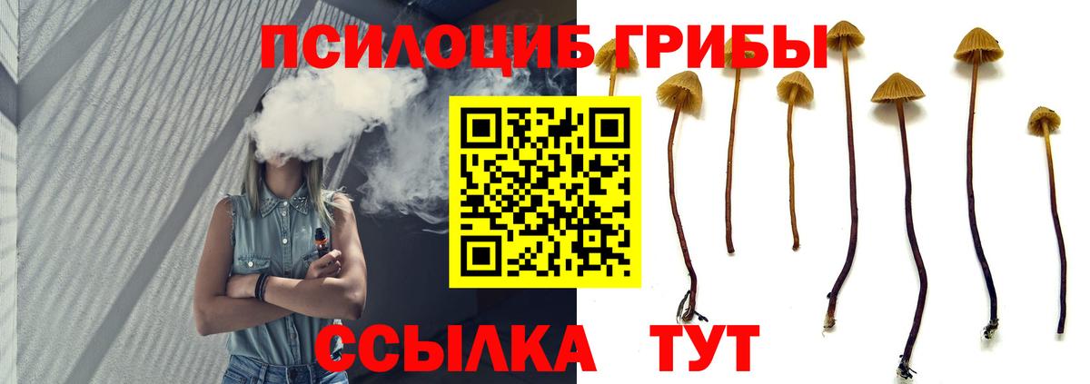 Псилоцибиновые грибы MAGIC MUSHROOMS  Волгодонск  Псилоцибиновые грибы Psilocybine cubensis 