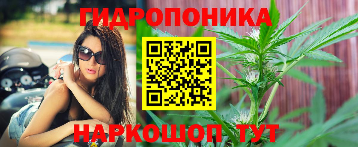 Марихуана White Widow  Шишки марихуана тримм  Вход с VPN  Волгодонск  Шишки марихуана White Widow 